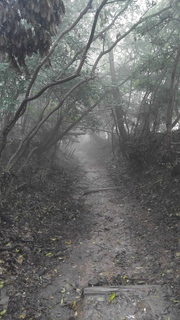 20171028_085924.jpg