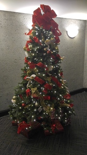 20181201_161710_HDR.jpg